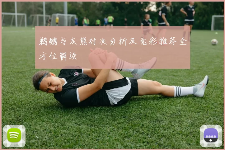 鹈鹕与灰熊对决分析及竞彩推荐全方位解读