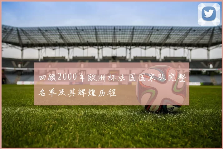 回顾2000年欧洲杯法国国家队完整名单及其辉煌历程