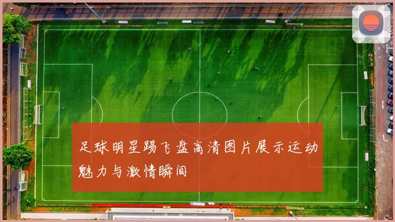 足球明星踢飞盘高清图片展示运动魅力与激情瞬间