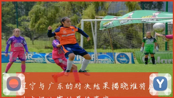 辽宁与广东的对决结果揭晓谁将成为本场比赛的最终赢家
